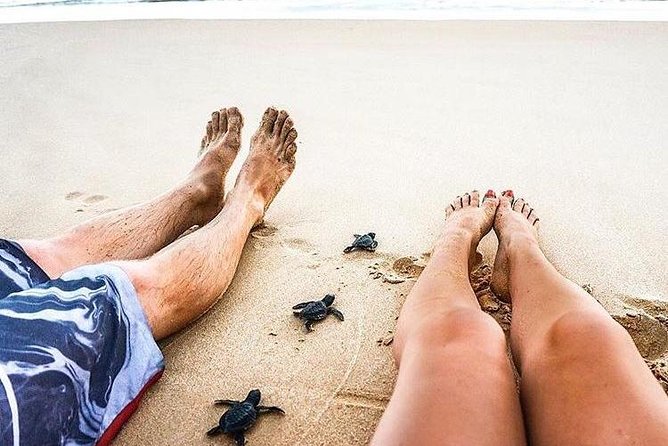 03 Days Beach Holidays in Sri Lanka with Kingfisher - Madu River Safari by Boat: Mangroves and Eight Islands