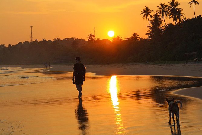 03 Days Beach Holidays in Sri Lanka with Kingfisher - Colombo Fort City Tour and Galle Face Sunset