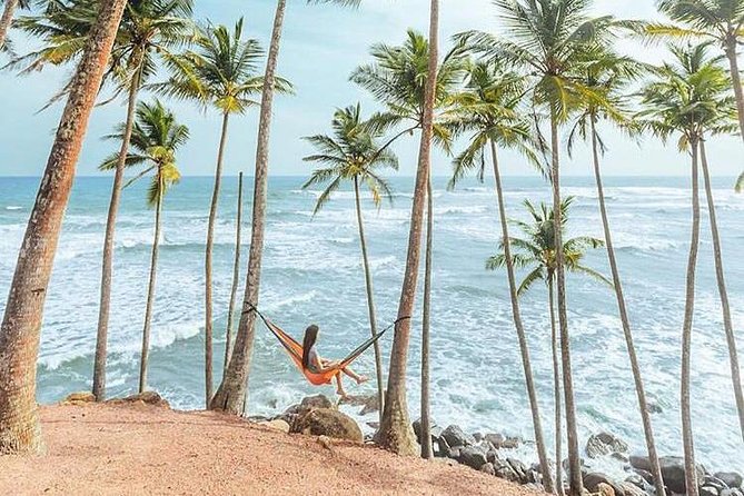 03 Days Beach Holidays in Sri Lanka with Kingfisher - Service Level: Guides, Scheduling, and the Feel of “Worth It”