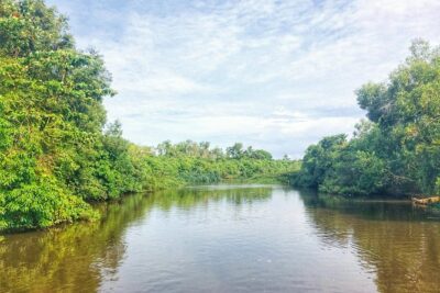 05 Day Explore Sri Lanka - Dambulla caves and Minneriya jeep safari: the day that sets the tone