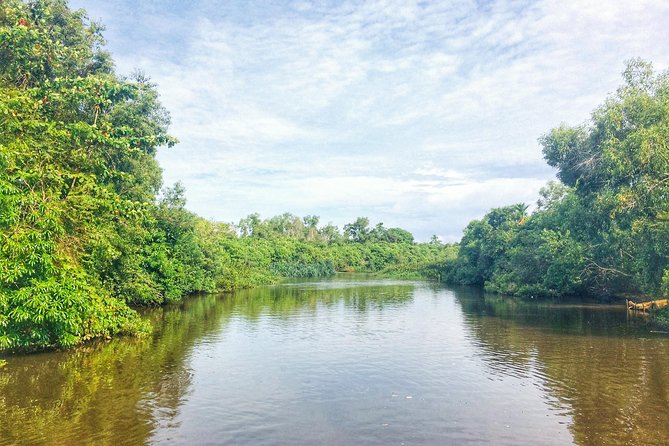 05 Day Explore Sri Lanka - Dambulla caves and Minneriya jeep safari: the day that sets the tone