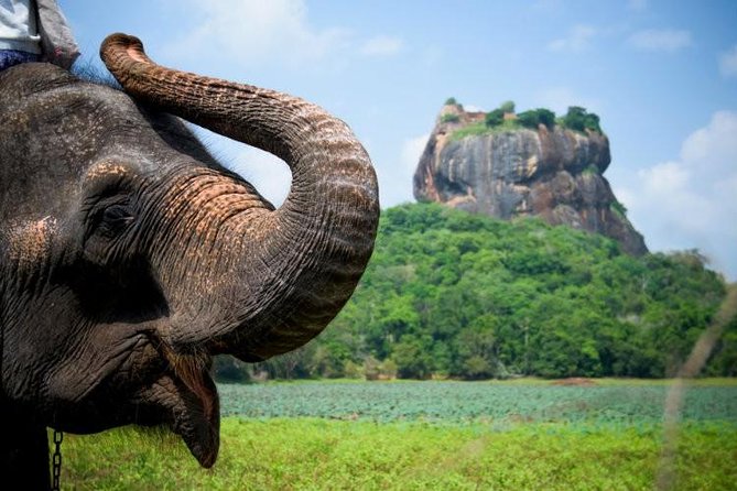 05 Days Glimpse Of Sri Lanka - Gems in Kandy and the Red-Cross Cultural Dance Show
