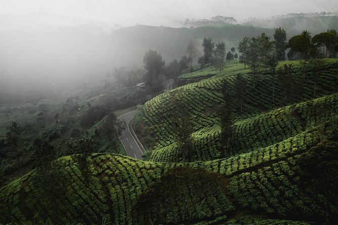 05 Days Sri Lanka Tour - Ceylon Highlights - Day 3: Nuwara Eliya City Time Before the Drive to Yala