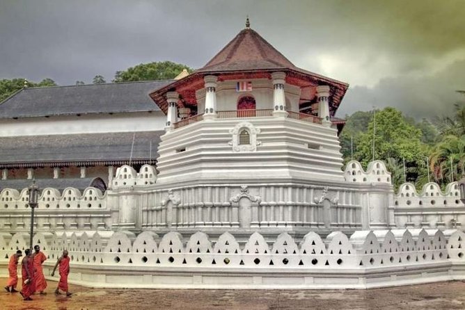 07 Days Highlights of Srilanka - Guides Who Adjust: From Colombo City Days to Wildlife and Nature