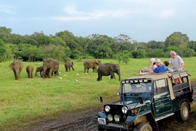 08 Nights in Magical Sri Lanka - Day 6: Tea country and the Nanu Oya to Ella scenic train ride