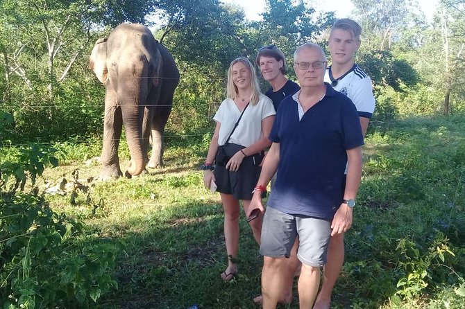 08 Nights in Magical Sri Lanka - Day 7: Sunrise viewpoints, Nine Arches Bridge, and waterfalls to Galle
