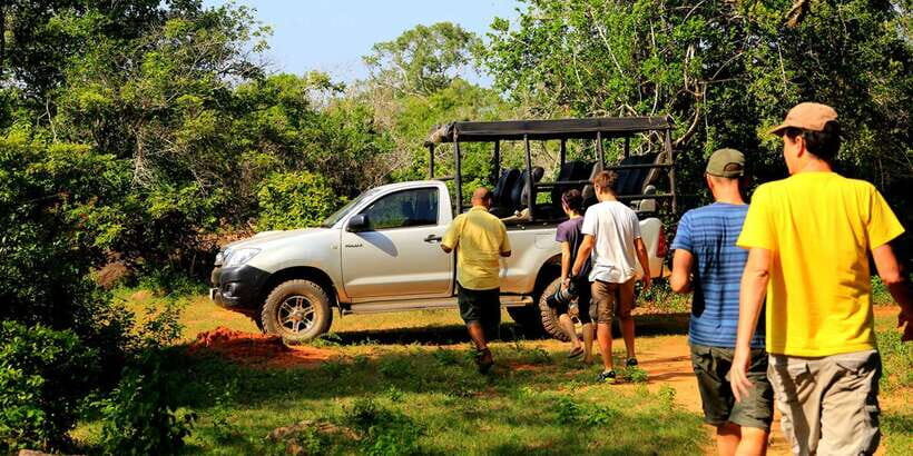 1-Day Tour of Both Yala and Udawalawe National Parks - How This 12-Hour Double Safari Actually Works