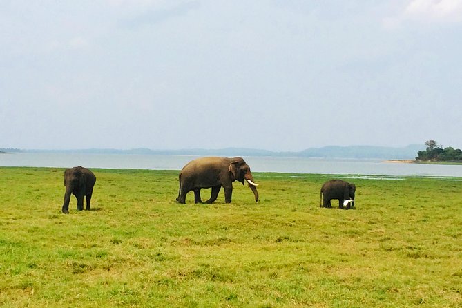 10 Day Explore Sri Lanka - Day 3: Sigiriya Rock Fortress Views and Polonnaruwa by Bicycle
