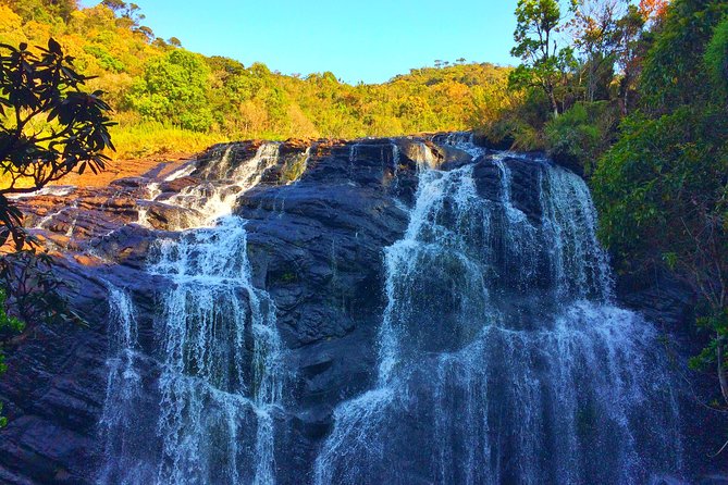 10 Day Explore Sri Lanka - Day 6: Horton Plains Early Start and Ella by Train Through the Scenery