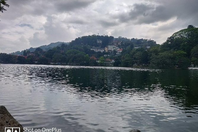 10 Day Round tour In Sri Lanka - Kandy: Tooth Relic Temple and City Time Without the Hustle