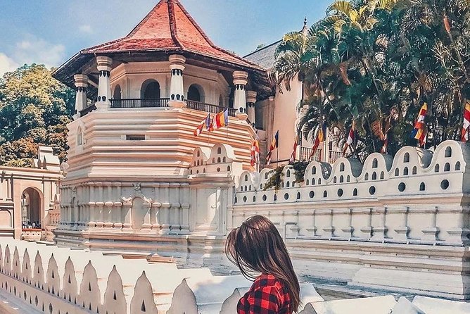 10-Days Private tour package. English speaking driver and Private luxury vehicle - Sigiriya Rock Fortress and Polonnaruwa: big sights, big walking