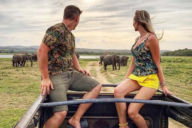 10 Days Sri Lanka Private Tours H/B accommodations - The basic deal: 10 days, private touring, half-board stays