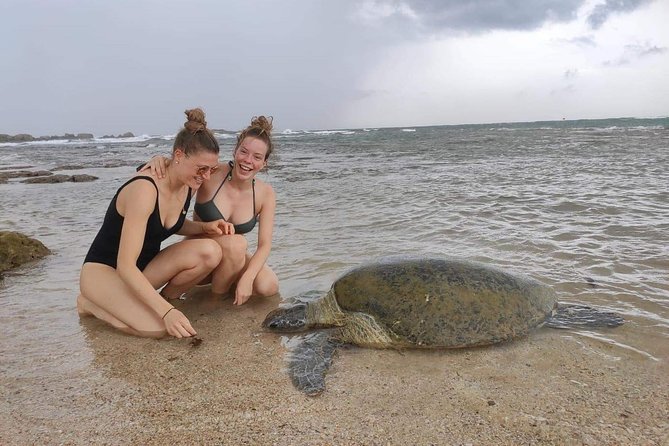 10 Days Tour in Sri Lanka (Hotels with Breakfast & Luxury Car) - Yala wildlife safari: plan your day with smart expectations