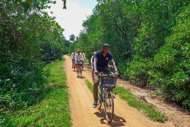 100 Km Sporting Cyling Tour - Price and value: is $250 a fair deal for this ride?