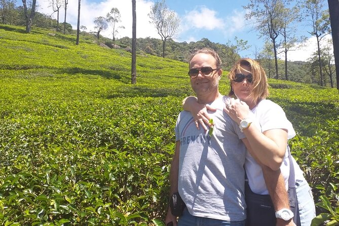 12 Days Sri Lanka Island Adventure and Wild Tour - Sigiriya and Minneriya: the day you go from lion rock to elephant country