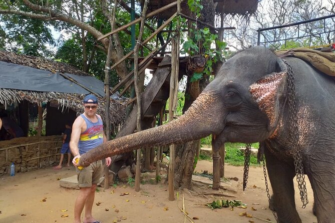 12 Days Sri Lanka Island Adventure and Wild Tour - Kandy: Temple of the Sacred Tooth plus easy green time