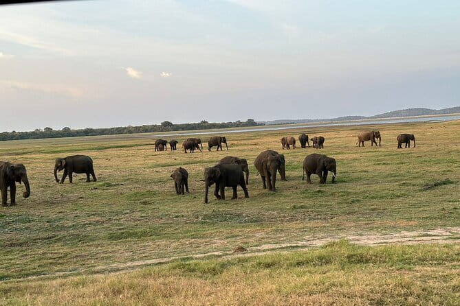 12 Days Tour Grand Discovery of Sri Lanka - How This 12-Day Sri Lanka Tour Balances Big Sights and Real Daily Life