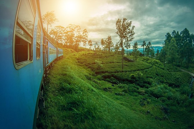 14 Days Sri Lanka Tour - Explore Sri Lanka - Mirissa whale watching, Koggala turtles, and Galle sunsets (Days 10–13)