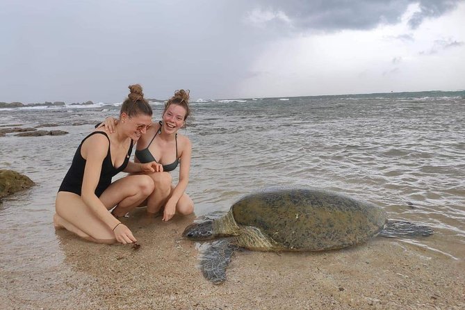 14 Days Tour in Sri Lanka (Hotels with Breakfast & Luxury Car) - Yala National Park Safari: The Wildlife Day That’s Half Thrill, Half Patience