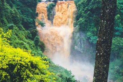 15-Day Tour in Sri Lanka with Private Driver - Negombo first night: fish market, spices, and an easy start