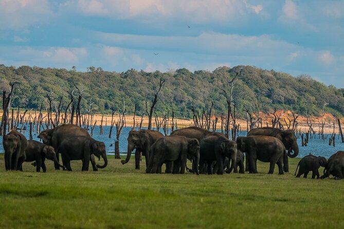 15-Day Tour in Sri Lanka with Private Driver - Polonnaruwa’s stone city: culture you can actually see