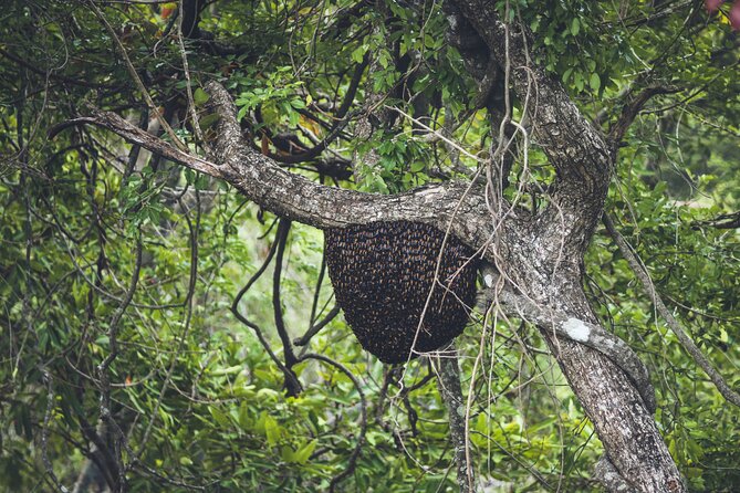 15-Day Tour in Sri Lanka with Private Driver - Minneriya elephants and the Hiriwadunna village safari