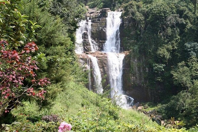 2 Day Tour of Yala & Ella with Hill Country Scenic Train Ride - All Inclusive - Price and value: What you’re truly paying for at $340