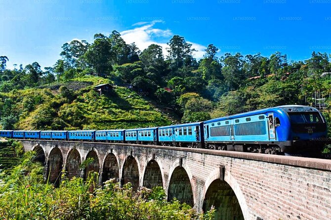 2 Day Tour of Yala & Ella with Hill Country Scenic Train Ride - All Inclusive - Getting picked up and moving between areas: Easy for most, long-distance for the tired