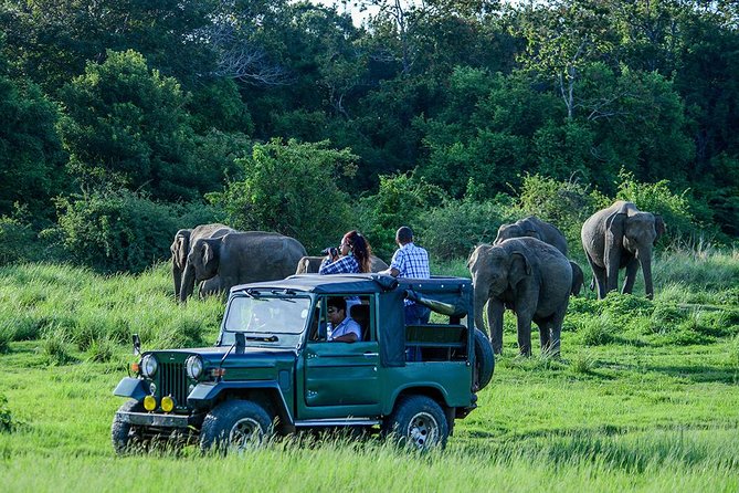 2 Days Tour of Double Safari (Yala & Udawalawe) - All Inclusive - Double Safari Yala + Udawalawe in 2 Days: Why This Setup Works