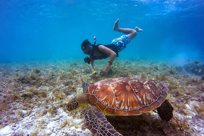 2 hours Private Snorkeling tour in Unawatuna - Key Highlights You’ll Care About