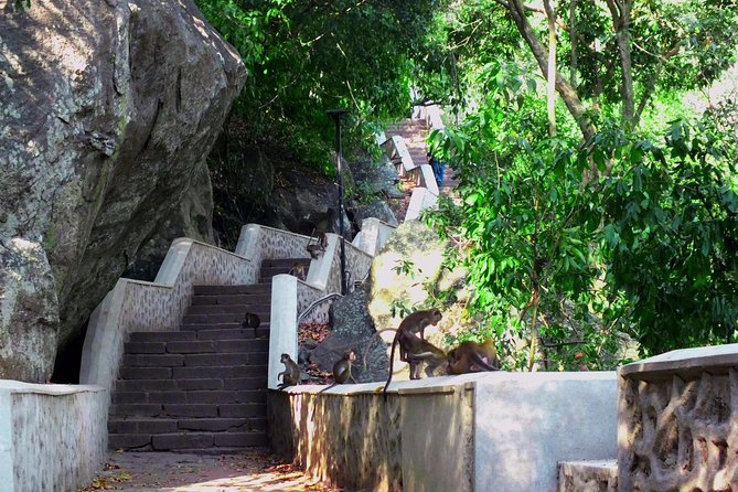 3 Day SriLanka Cultural Tour:Dambulla/ Sigiriya/ Polonnaruwa / Minneriya/ Kandy - Dambulla Cave Temple and the Temple of the Sacred Tooth Relic in Kandy