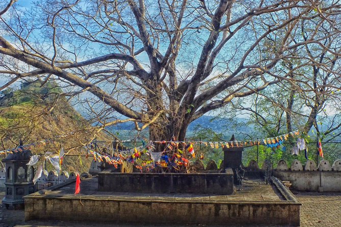 3 Day SriLanka Cultural Tour:Dambulla/ Sigiriya/ Polonnaruwa / Minneriya/ Kandy - Should You Book Mango Vacations for This Cultural Triangle Loop?