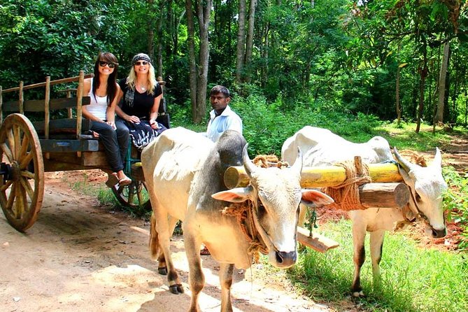3 Days Glimpse Of Sri Lanka - Village Safari in Sigiriya: Tuk-Tuk, Cow Cart, Canoe, and Real Meal Time