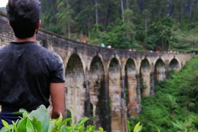 3 Days Nature and Chill Tour of Ella, Nuwara Eliya and Haputale - Logistics that matter: timing, weather, and comfort