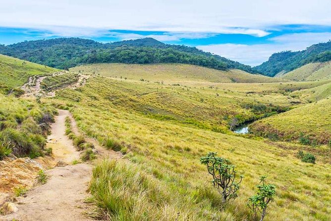 3 Days Nature and Chill Tour of Ella, Nuwara Eliya and Haputale - Who should book this tour
