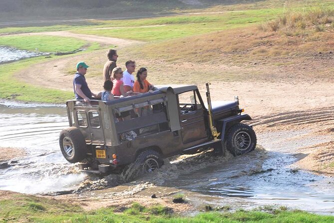 3 Days Private Tour of Yala Safari/ Ella/ Kandy - All Inclusive - Price and Logistics: Is $495 per Person Good Value?