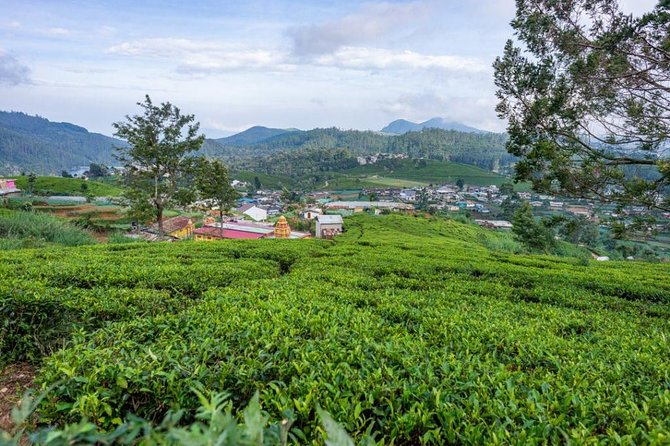 3 Days Tour to Kandy, Nuwara Eliya & Sigiriya - Should you book this Kandy–Nuwara Eliya–Sigiriya private tour?