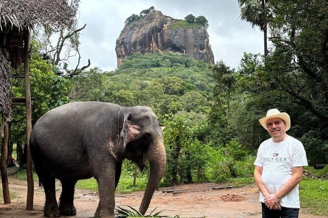 4 Days Private Tour In Sri Lanka - Damro Labookellie Tea Centre and Tea Garden: where the tea story becomes real