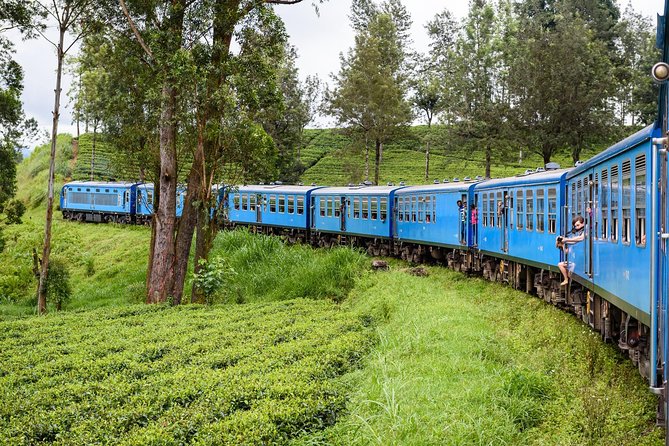 4 Days Tour to Kandy, Sigiriya & Nuwara Eliya - Colombo Pickup and a Chauffeur-Guide You’ll Actually Use