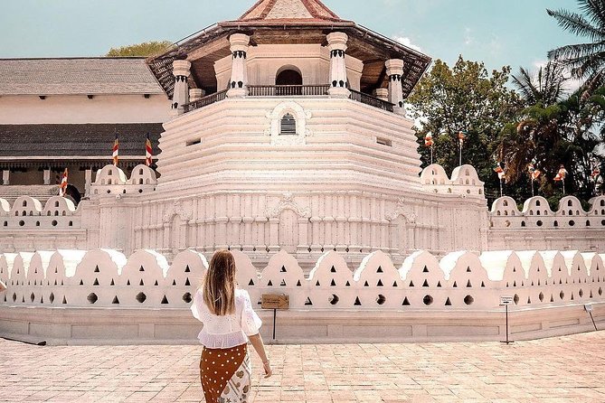 4 Days Tour to Kandy, Sigiriya & Nuwara Eliya - Day 1 in Kandy: Rambukkana Spice Forest, Gems, and the Tooth Relic Temple