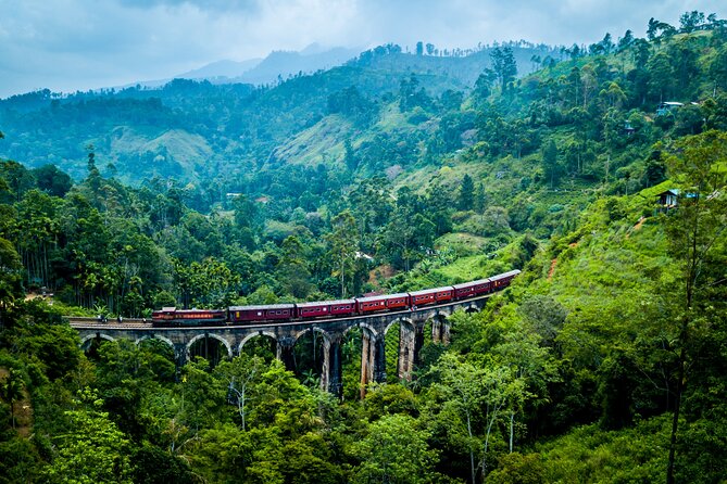 5 Day Multi-City Sightseeing Tour - Day 4 Tea Country to Nine Arches Bridge and Ravana’s Cave