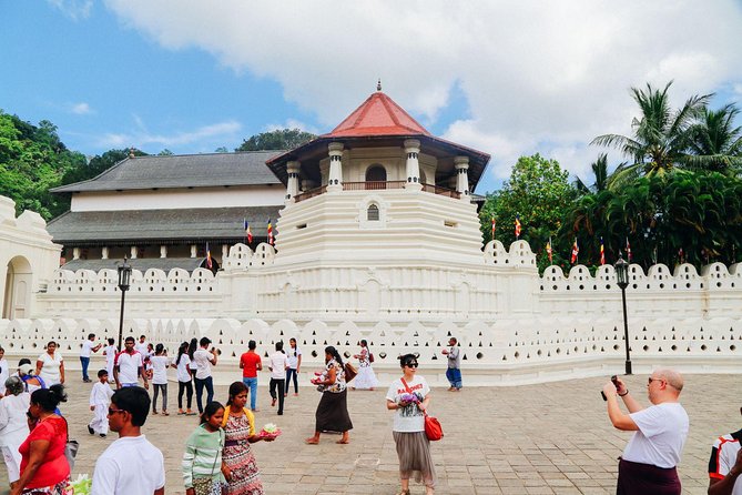 5-Day Sri Lanka Central Highlands Tour - Pedro Tea Factory: turning a cup into a story