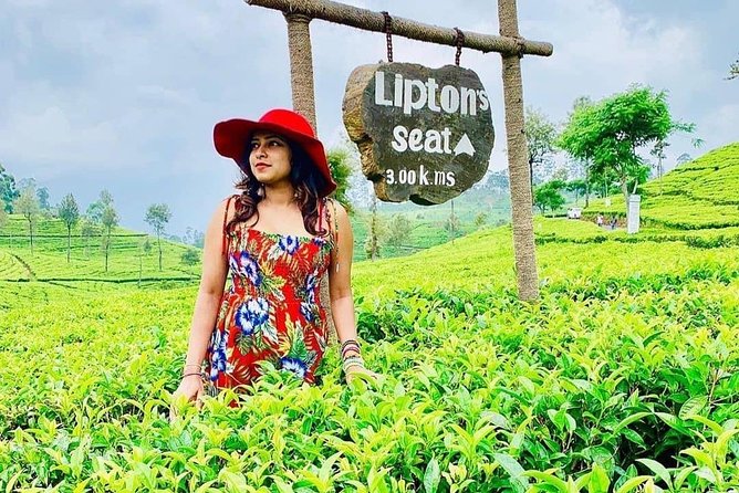 5 DAYS BUDGET TOUR package in Sri Lanka - A Budget Price With Real Moving Parts: What You’re Actually Buying