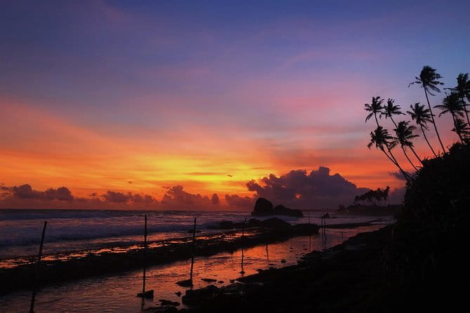 5 Days Sri Lanka Tour package - Hotels, meals, and comfort details that matter in Sri Lanka