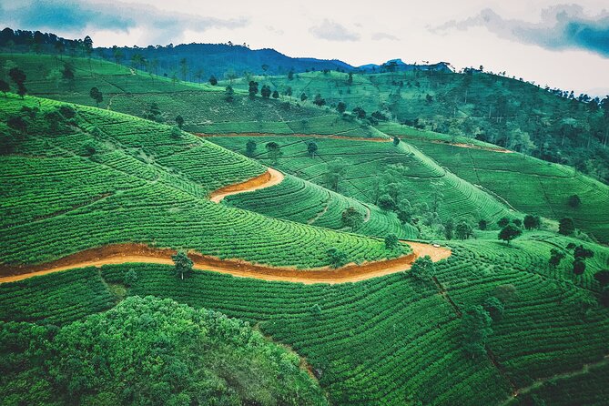 5 Days Tour In Sri Lanka - Day 2 in Sigiriya and Dambulla: UNESCO scale, then living Buddhist caves