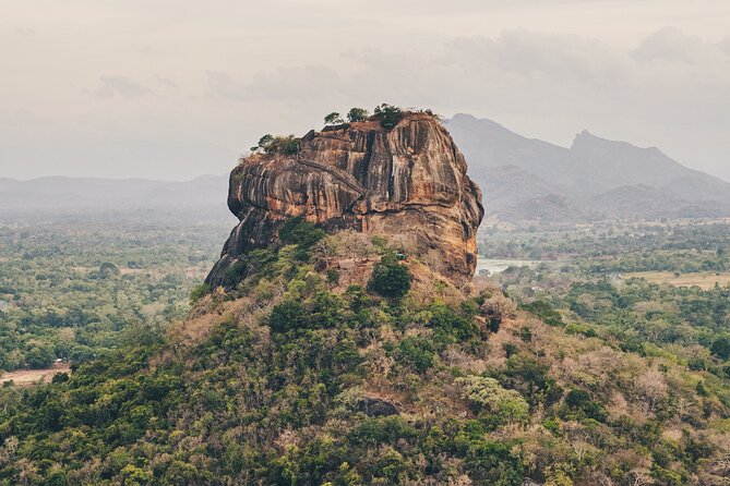 5 Days Tour In Sri Lanka - Day 3 in Minneriya and Polonnaruwa: elephant country and quiet ancient geometry