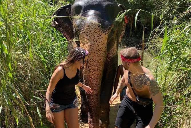 5 Days Tour in Sri Lanka (Hotels with Breakfast & Luxury Car) - Day 2 to Ella: Ramboda Falls, Glenloch Tea Factory, and Nine Arches Bridge time