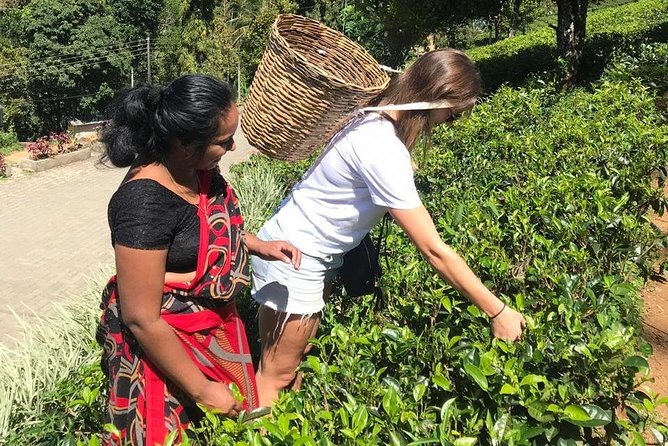 5 Days Tour in Sri Lanka (Hotels with Breakfast & Luxury Car) - Day 4 on the south coast: Dondra Head, Mirissa beaches, Rumassala views, and Galle Fort