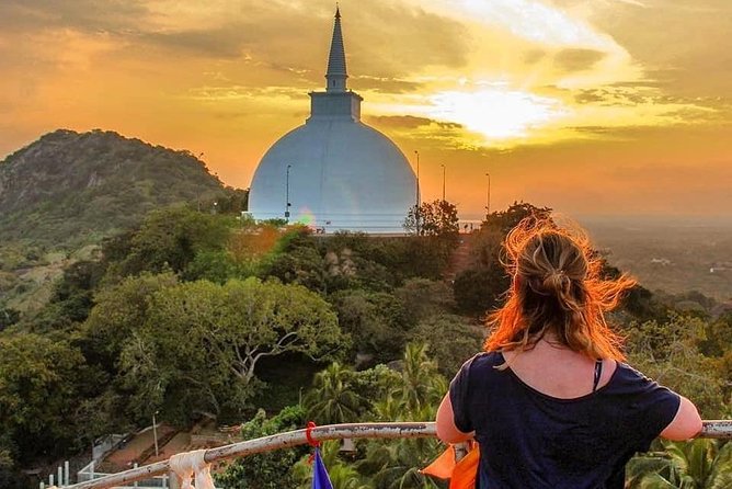 6-Day Sri Lanka Heritage Private Tour - Peradeniya botanical gardens, waterfalls, and tea country transitions