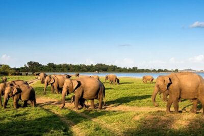 6 Days Nature And Culture Tour - Meet the Service: Private Driver, Mobile Ticket, and Real-World Communication